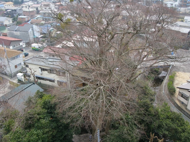 2008年3月神奈川県逗子市