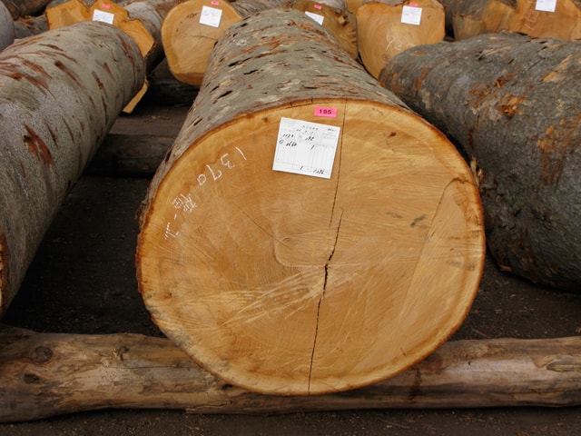 2008年3月埼玉林材市場