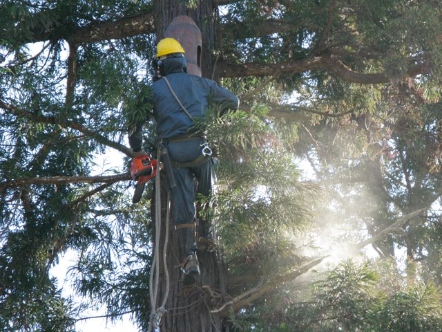 2008年3月埼玉県小川町